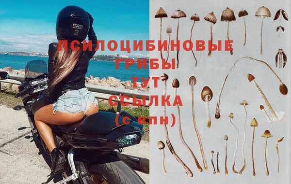 таблы Алексеевка