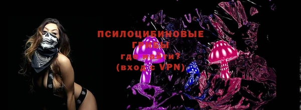 соль ск Алексин
