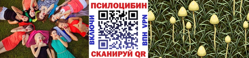 блэк спрут вход  Котельники  Галлюциногенные грибы Magic Shrooms 