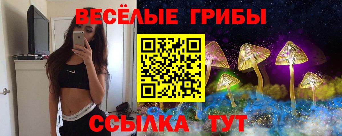 Псилоцибиновые грибы Cubensis  Псилоцибиновые грибы ЛСД  Вход с VPN  Котельники 