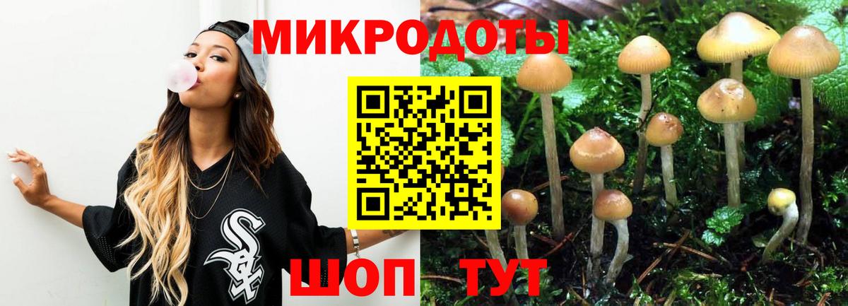 Псилоцибиновые грибы GOLDEN TEACHER Котельники